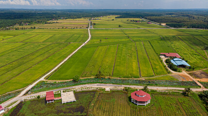 Aerial drone view of green paddy fields in Sungai Rambai, Melaka, Malaysia.