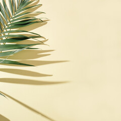 Summer minimal background with natural green palm leaves with sun shadows. Pastel colored aesthetic photo with palm plant.