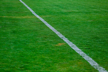 Fototapeta na wymiar Césped de estadio de futbol en plano detalle con línea pintada