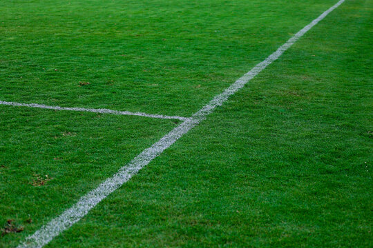 Césped De Estadio De Futbol En Plano Detalle Con Línea Pintada