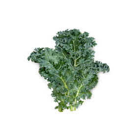 Fresh kale isolated on white background
