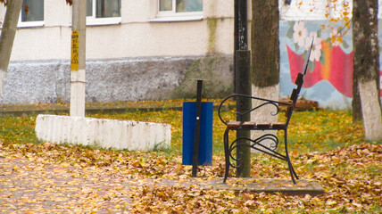 A bench in the park in the autumn season