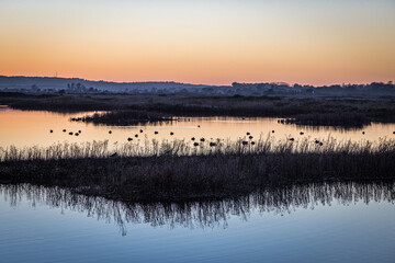 Sunset over Rye Harbour Nature Reserve, East Sussex, England
