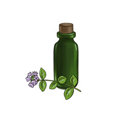 drawing marjoram essential oil, glass bottle and flower, hand drawn illustration