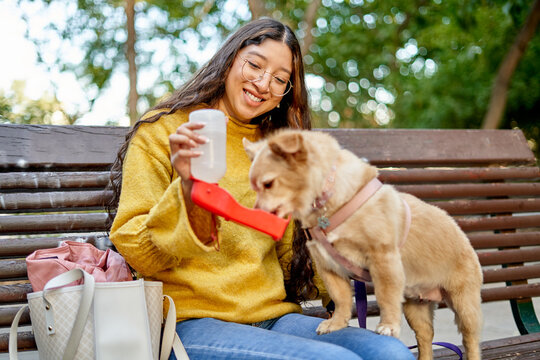 Happy woman giving water do dog on bench