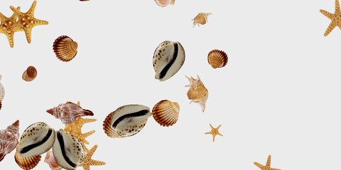 sea shells and others creatures isolated on white background