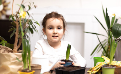 Home gardening. Little kid girl helping to care for home plants, green environment at home
