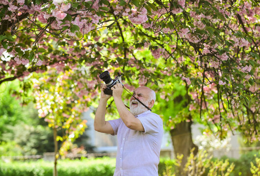 Hobby and leisure. Experienced photographer in spring garden. Photographer shooting nature. Creating memories for lifetime. Senior man shoot in nature. Cameraman outdoors. Emotions through photos