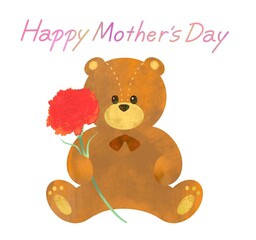 母の日　カーネーションとテディベア