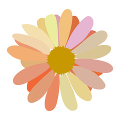 simple flower of blossoming and blooming chamomile. Illustration