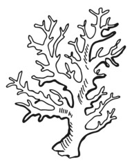Coral branch sketch. Underwater reef fauna symbol
