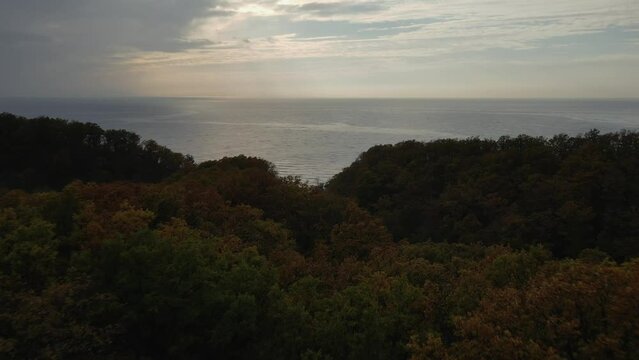 dense forest with sea view, kiselyov rock tuapse shooting from a drone 