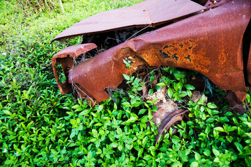 Old rusty abandoned car in overgrown grass