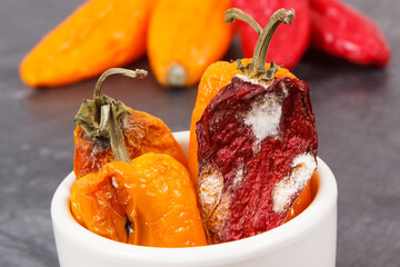Old peppers with mold, unhealthy and disgusting food concept