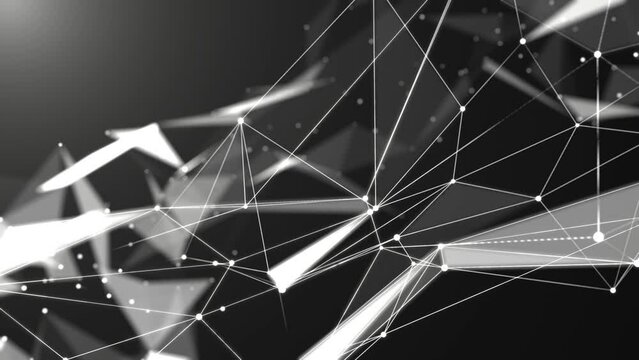 VJ ビジネス 点 線 メッシュ プレクサス 白黒 [別Verあり]