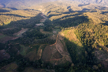 Aerial view of tropical rainforest area with gravel road, environmental conservation in countryside