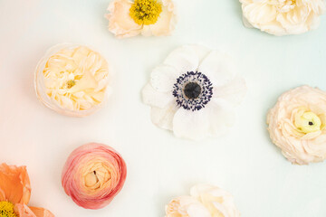 Fresh flower flat lay with ranunculus, anemone and roses