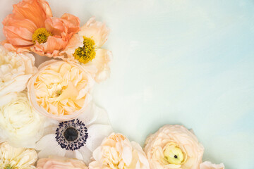Beautiful fresh flower flat lay on pastel background with poppie, roses and anemones