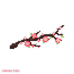 Pixel art branch of sakura icon. Vector 8 bit style illustration of asian plum cherry blossom. Pink hanami sakura branch decorative oriental spring element of retro video game computer graphic. © Takoyaki Shop