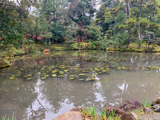 井の頭公園、池、冬