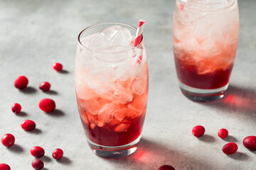 Homemade Refreshing Lingonberry Soda