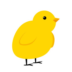 Little Yelllow Chicken simple icon. Illustration