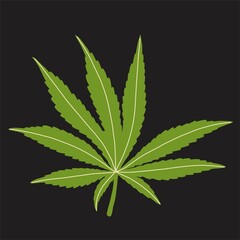 simplicity cannabis leaf freehand drawing flat design.