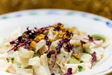 restaurant food on non isolated background 