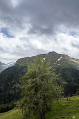 Die wunderbare Welt der Österreichischen Alpen