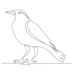 crow drawing in one continuous line, isolated vector