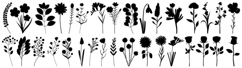 flowers, plants set silhouette isolated vector © zolotons