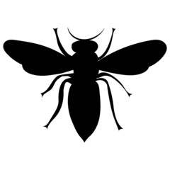 bee black silhouette isolated vector