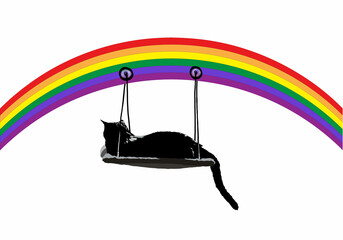 il ponte dell'arcobaleno paradiso dei gatti