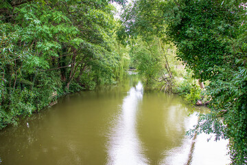 Small quiet lake surrounded by green trees. High quality photo