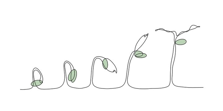 Grow in the ground. Spring picture. Line art drawn by hand. White background. Isolate