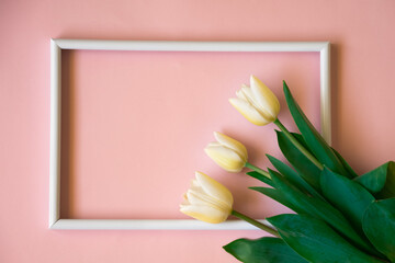 Top view of tulips on pink background