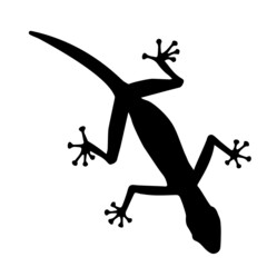 Black silhouette creeping down of lizard on white background. Illustration