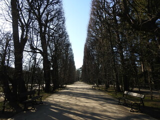 Regular park in Gdansk Oliwa, Poland