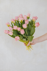 pink tulips, a bouquet of tulips on a bright background