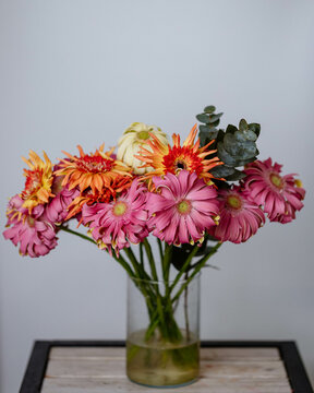 flowers, a bouquet of herber on a gray background