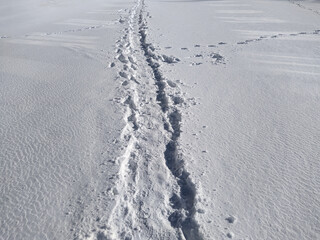 path through the snow during the day.