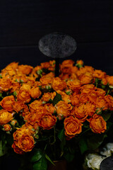 orange roses on a black background