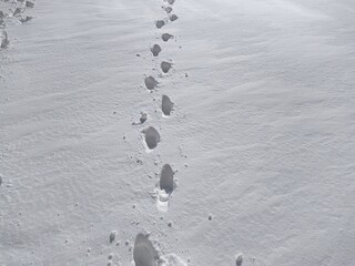 Footprints in the snow during the daytime.