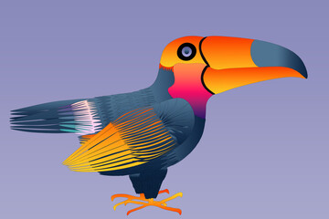 Uccello Tucano fantastico © mauro tombolini