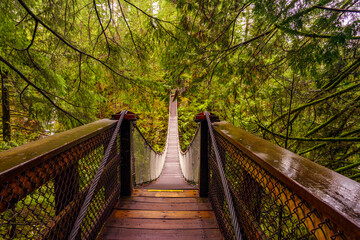 Suspension bridge in the forests at a BC public park.