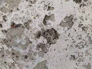 old and white concrete wall with which paint peels off.