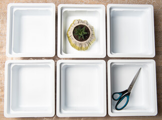 background of empty white plastic boxes for seedlings with potted flowers laid out on the table