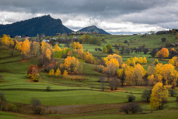 Autumn colors at rainy day in Savsat Town of Turkey