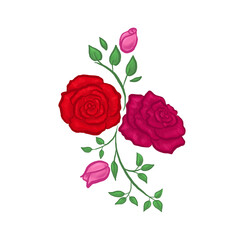 Roses
Color illustration of roses. Red and pink roses. Rose in full bloom and closed buds. Roses with leaves. Idea for a pattern.