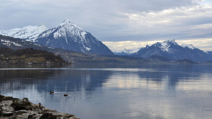 Lake Thun in Switzerland during early spring